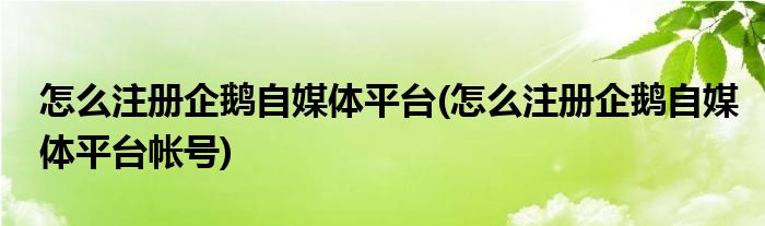 怎么注冊(cè)企鵝自媒體平臺(tái)(怎么注冊(cè)企鵝自媒體平臺(tái)帳號(hào))