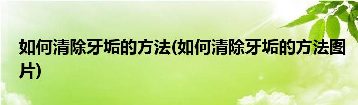 如何清除牙垢的方法(如何清除牙垢的方法圖片)