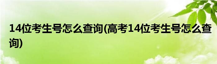 14位考生號(hào)怎么查詢(高考14位考生號(hào)怎么查詢)