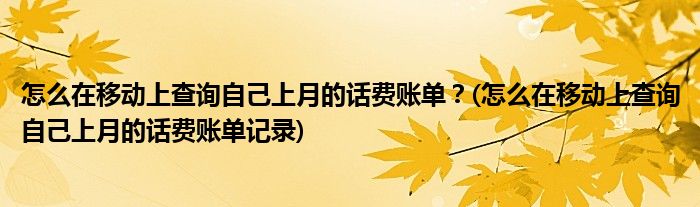 怎么在移動(dòng)上查詢自己上月的話費(fèi)賬單？(怎么在移動(dòng)上查詢自己上月的話費(fèi)賬單記錄)