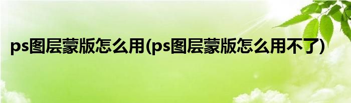 ps圖層蒙版怎么用(ps圖層蒙版怎么用不了)