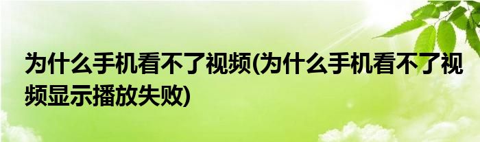 為什么手機(jī)看不了視頻(為什么手機(jī)看不了視頻顯示播放失敗)