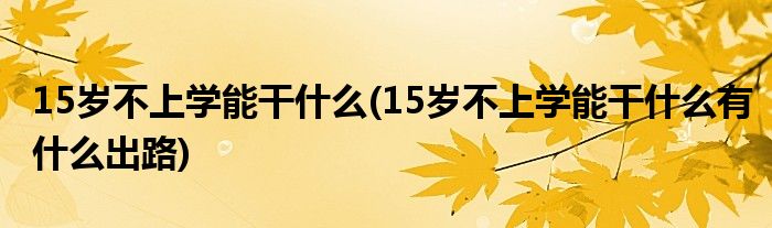 15歲不上學能干什么(15歲不上學能干什么有什么出路)