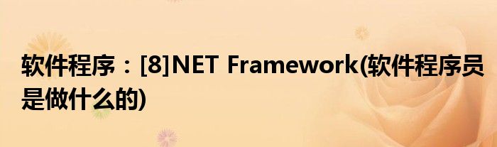 軟件程序：[8]NET Framework(軟件程序員是做什么的)