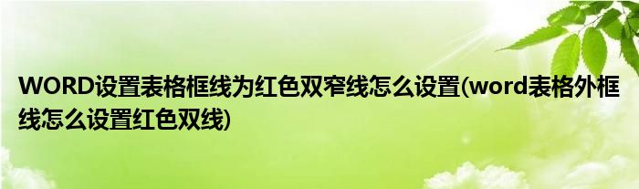 WORD設(shè)置表格框線為紅色雙窄線怎么設(shè)置(word表格外框線怎么設(shè)置紅色雙線)