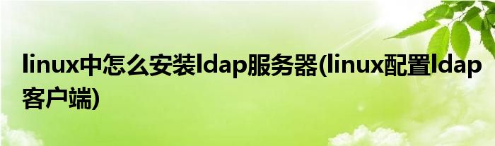 linux中怎么安裝ldap服務器(linux配置ldap客戶端)