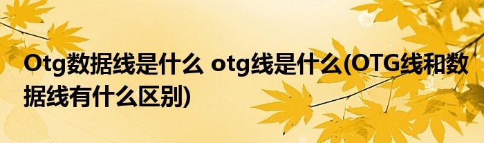 Otg數(shù)據(jù)線是什么 otg線是什么(OTG線和數(shù)據(jù)線有什么區(qū)別)