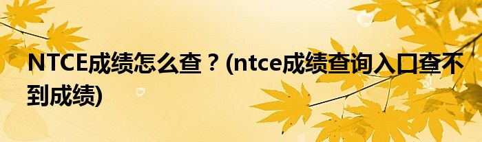 NTCE成績怎么查？(ntce成績查詢?nèi)肟诓椴坏匠煽?