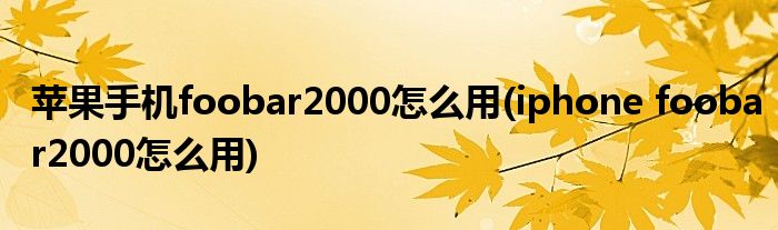 蘋果手機(jī)foobar2000怎么用(iphone foobar2000怎么用)