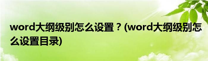 word大綱級別怎么設(shè)置？(word大綱級別怎么設(shè)置目錄)