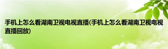 手機上怎么看湖南衛(wèi)視電視直播(手機上怎么看湖南衛(wèi)視電視直播回放)