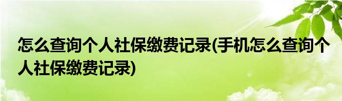 怎么查詢個人社保繳費記錄(手機怎么查詢個人社保繳費記錄)