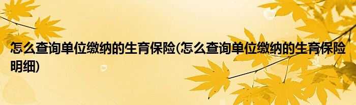 怎么查詢單位繳納的生育保險(怎么查詢單位繳納的生育保險明細)