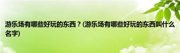 游樂場有哪些好玩的東西？(游樂場有哪些好玩的東西叫什么名字)