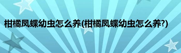 柑橘鳳蝶幼蟲怎么養(yǎng)(柑橘鳳蝶幼蟲怎么養(yǎng)?)