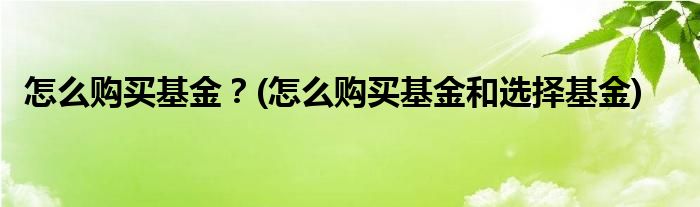 怎么購(gòu)買基金？(怎么購(gòu)買基金和選擇基金)