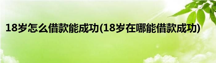 18歲怎么借款能成功(18歲在哪能借款成功)