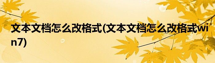 文本文檔怎么改格式(文本文檔怎么改格式win7)