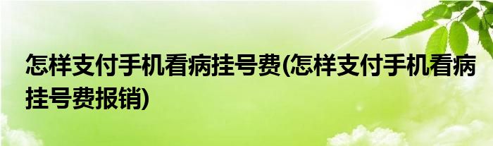 怎樣支付手機看病掛號費(怎樣支付手機看病掛號費報銷)