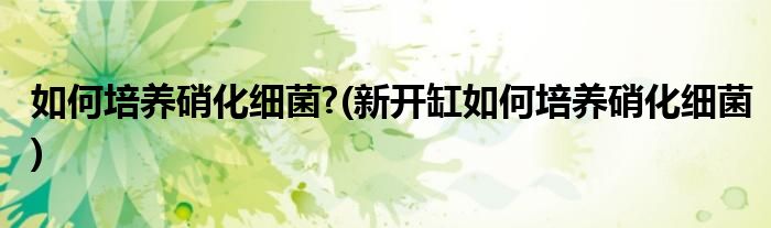 如何培養(yǎng)硝化細菌?(新開缸如何培養(yǎng)硝化細菌)