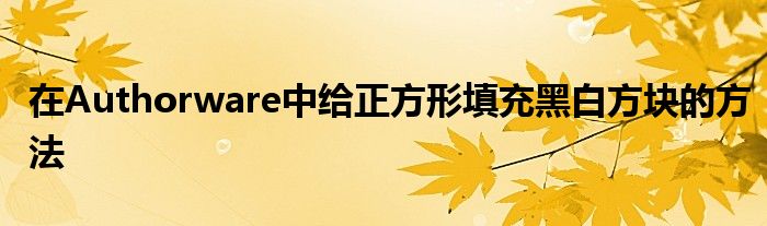 在Authorware中給正方形填充黑白方塊的方法