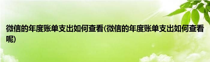 微信的年度賬單支出如何查看(微信的年度賬單支出如何查看呢)