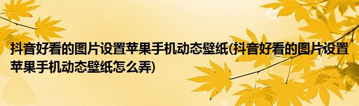 抖音好看的圖片設(shè)置蘋果手機(jī)動(dòng)態(tài)壁紙(抖音好看的圖片設(shè)置蘋果手機(jī)動(dòng)態(tài)壁紙?jiān)趺磁?