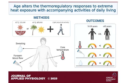 老年人在模擬熱浪中的體溫升高幅度比之前報(bào)道的要大