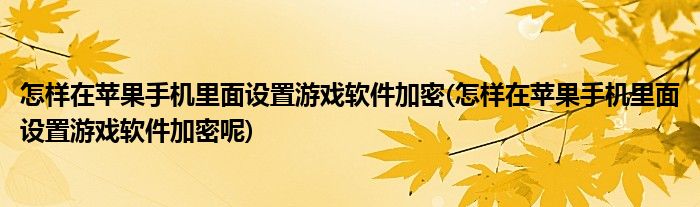 怎樣在蘋果手機(jī)里面設(shè)置游戲軟件加密(怎樣在蘋果手機(jī)里面設(shè)置游戲軟件加密呢)