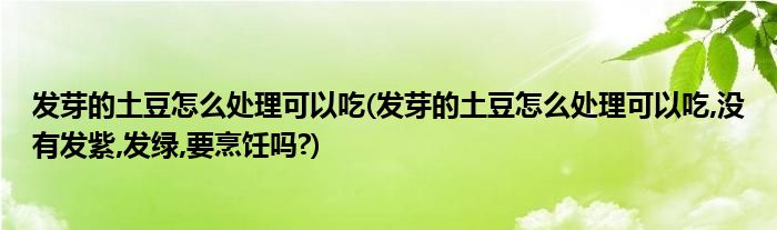 發(fā)芽的土豆怎么處理可以吃(發(fā)芽的土豆怎么處理可以吃,沒有發(fā)紫,發(fā)綠,要烹飪嗎?)