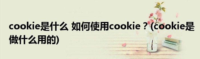 cookie是什么 如何使用cookie？(cookie是做什么用的)