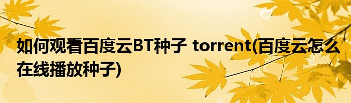 如何觀看百度云BT種子 torrent(百度云怎么在線播放種子)