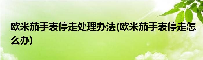 歐米茄手表停走處理辦法(歐米茄手表停走怎么辦)