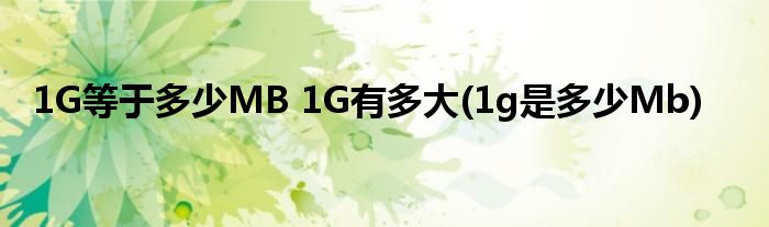 1G等于多少MB 1G有多大(1g是多少Mb)