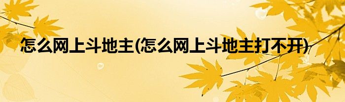 怎么網(wǎng)上斗地主(怎么網(wǎng)上斗地主打不開(kāi))