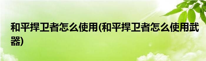 和平捍衛(wèi)者怎么使用(和平捍衛(wèi)者怎么使用武器)