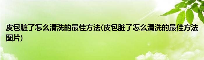 皮包臟了怎么清洗的最佳方法(皮包臟了怎么清洗的最佳方法圖片)