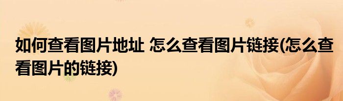 如何查看圖片地址 怎么查看圖片鏈接(怎么查看圖片的鏈接)