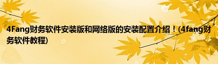 4Fang財務(wù)軟件安裝版和網(wǎng)絡(luò)版的安裝配置介紹！(4fang財務(wù)軟件教程)