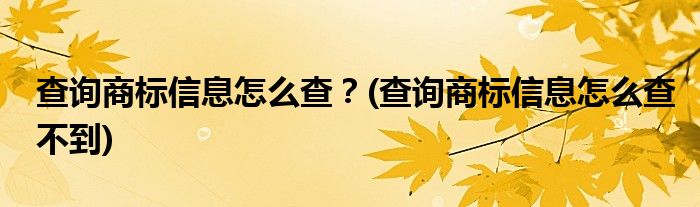 查詢商標(biāo)信息怎么查？(查詢商標(biāo)信息怎么查不到)