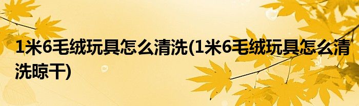 1米6毛絨玩具怎么清洗(1米6毛絨玩具怎么清洗晾干)