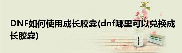 DNF如何使用成長(zhǎng)膠囊(dnf哪里可以兌換成長(zhǎng)膠囊)