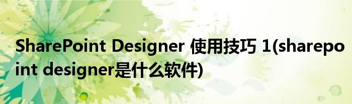 SharePoint Designer 使用技巧 1(sharepoint designer是什么軟件)