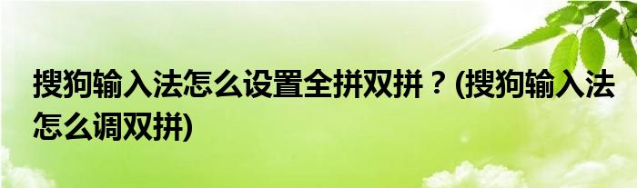 搜狗輸入法怎么設(shè)置全拼雙拼？(搜狗輸入法怎么調(diào)雙拼)