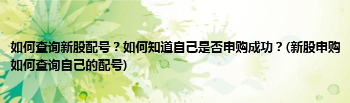 如何查詢新股配號？如何知道自己是否申購成功？(新股申購如何查詢自己的配號)