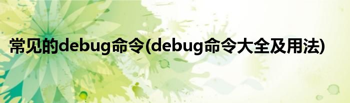 常見的debug命令(debug命令大全及用法)