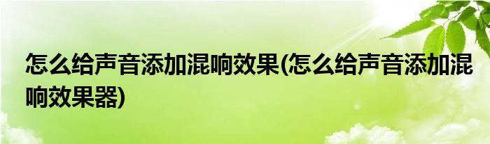 怎么給聲音添加混響效果(怎么給聲音添加混響效果器)