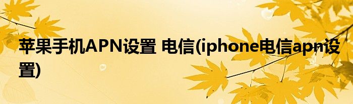 蘋果手機(jī)APN設(shè)置 電信(iphone電信apn設(shè)置)