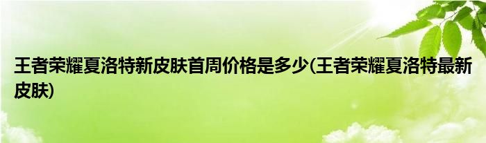 王者榮耀夏洛特新皮膚首周價(jià)格是多少(王者榮耀夏洛特最新皮膚)