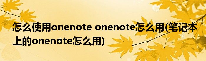 怎么使用onenote onenote怎么用(筆記本上的onenote怎么用)